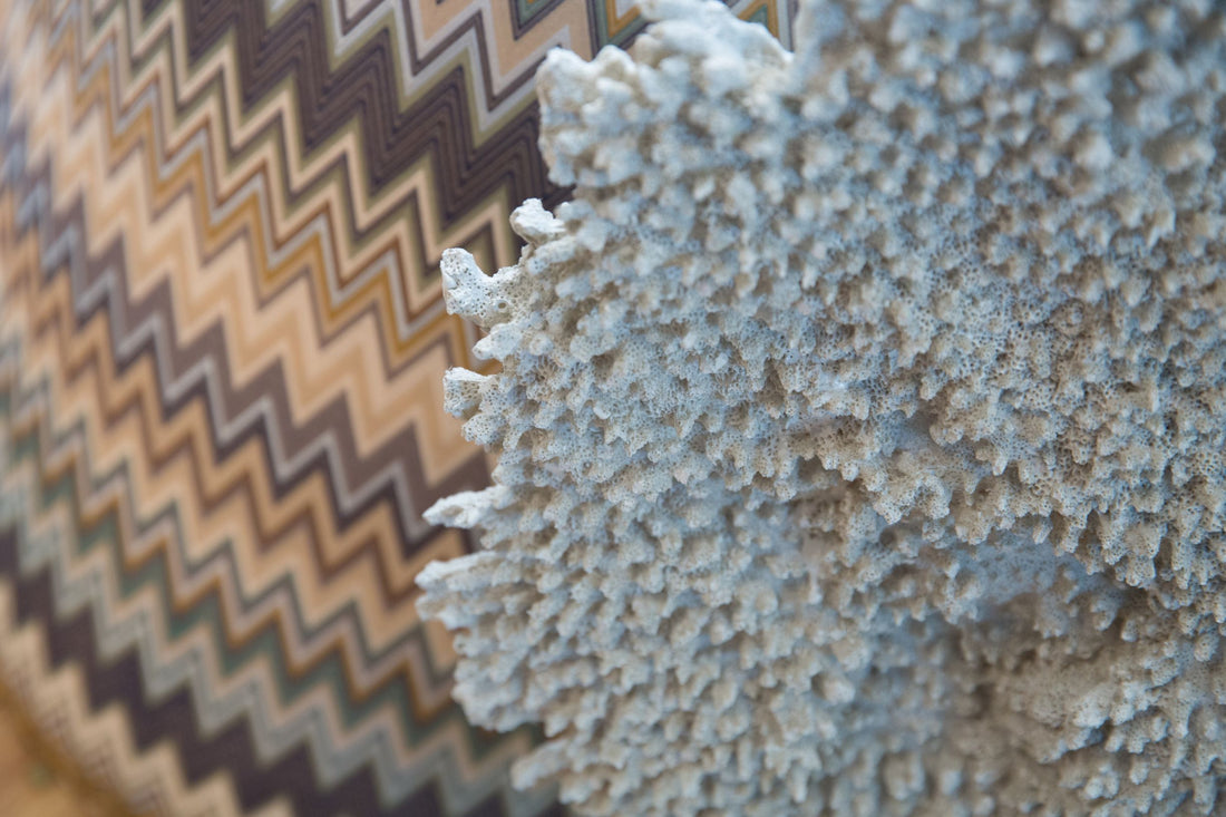 March into Spring in Coastal Style