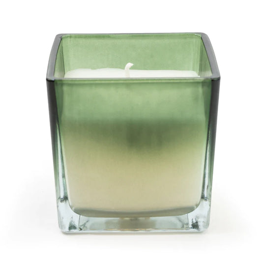 Apple and Fig Candle BLACKFRIDAY
