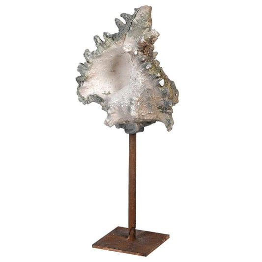 Conch Shell Ornament SPECIAL OFFERS