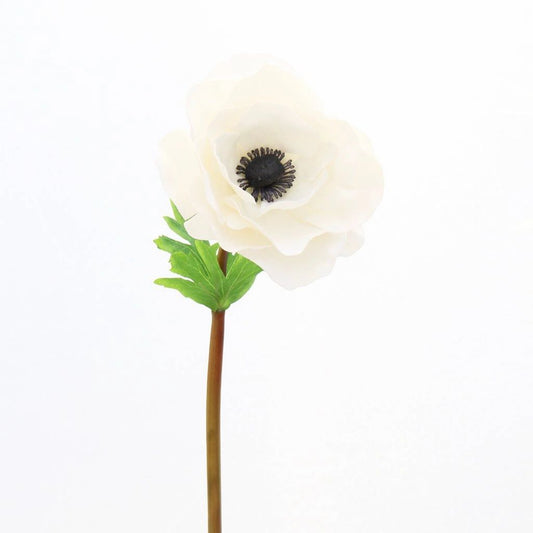 Anemone Stem - White